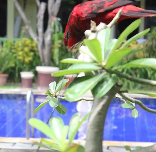 Puri Nusantara Hotel 3*